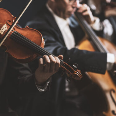 Symphonic string orchestra performing on stage Professional symphonic string orchestra performing on stage and playing a classical music concert, violinist in the foreground